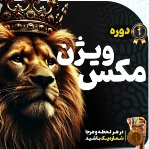 🚀 دوره مکس ویژن: راز رسیدن به استقلال مالی در 6 ماه